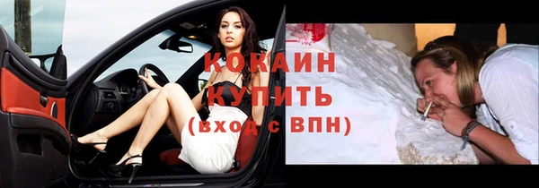 apvp Бородино