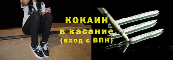 apvp Бородино