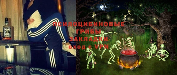 apvp Бородино