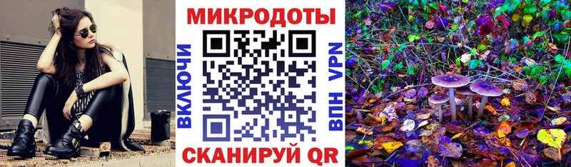 Купить где Малая Вишера Галлюциногенные грибы мухоморы